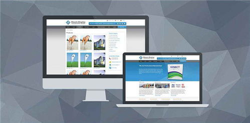 六安網(wǎng)站建設(shè) 天易網(wǎng)絡(luò)的專業(yè)建站方案解析